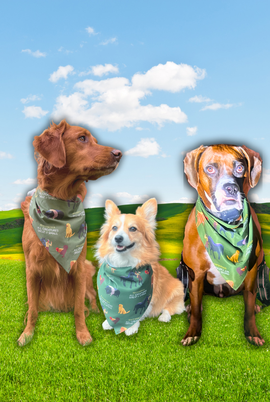 Masterpiece: All Creatures Great and Small Pet Bandana